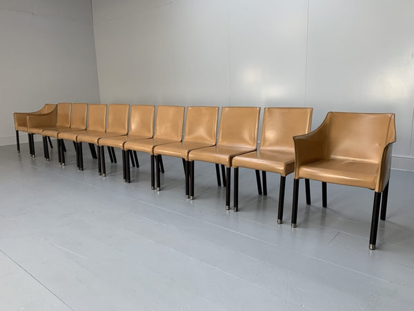 Cappellini Cap Dining Armchairs - In Saddle Leather, Set of Twelve @ REHAUS