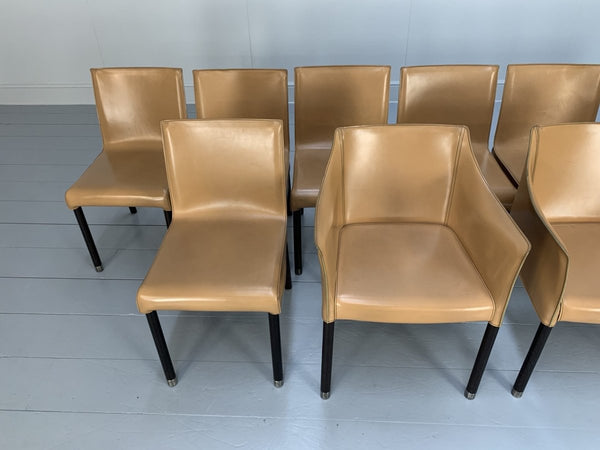 Cappellini Cap Dining Armchairs - In Saddle Leather, Set of Twelve @ REHAUS