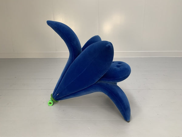 Edra Getsuen Lily Armchair - In Blue Velvet @ REHAUS