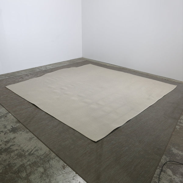 Large Rug by Paola Lenti @ REHAUS