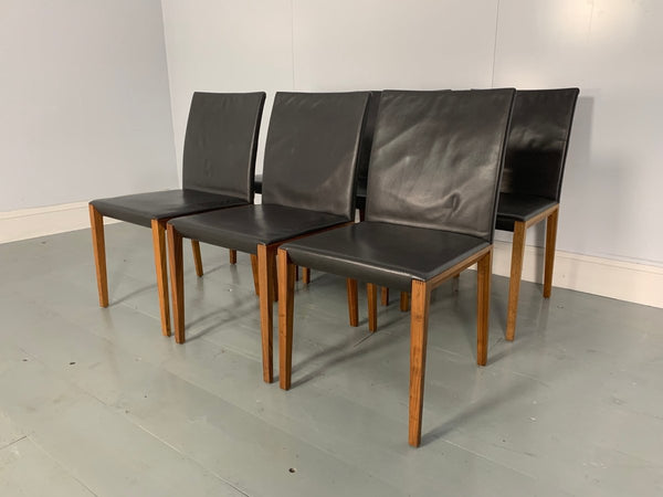 Walter Knoll Andoo 1100 Dining Chair - In Dark Brown Leather & Walnut,set of 6 @ REHAUS