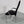 Draenert Studios Chair with Arms, Set of Two