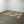 The Rug Company Zebra Rug by Diane Von Furstenberg