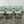 Julian Chichester Dorothy Dining Chairs, Set of Twelve