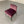 B&B Italia Maxalto Eunice Occasional Chair - In Purple Stripe - Velvet @ REHAUS