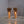 Brokis Muffin Floor Lamp by Lucie Koldova & Dan Yeff @ REHAUS