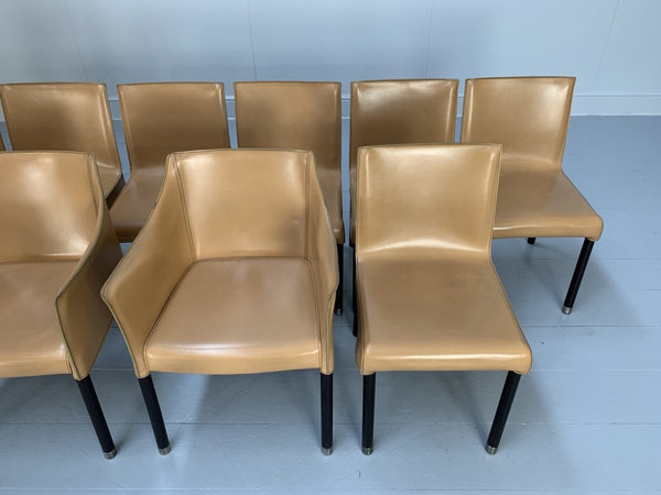 Cappellini Cap Dining Armchairs - In Saddle Leather, Set of Twelve @ REHAUS