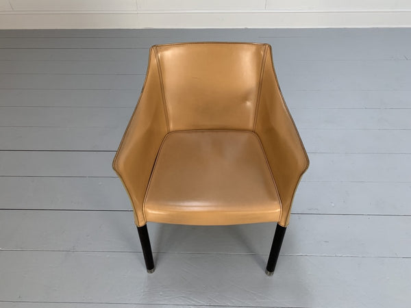 Cappellini Cap Dining Armchairs - In Saddle Leather, Set of Twelve @ REHAUS