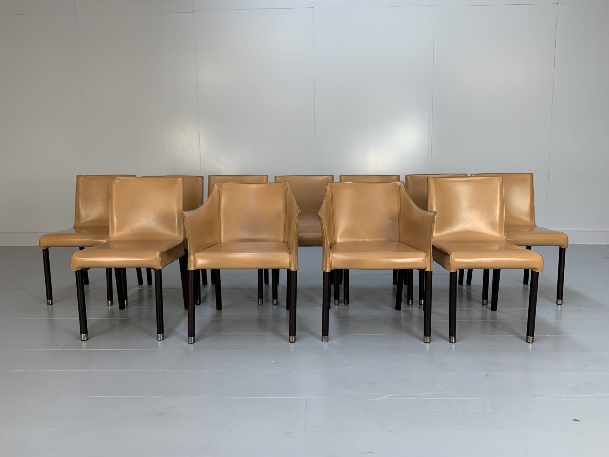 Cappellini Cap Dining Armchairs - In Saddle Leather, Set of Twelve @ REHAUS
