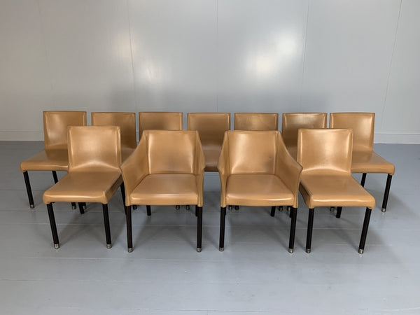 Cappellini Cap Dining Armchairs - In Saddle Leather, Set of Twelve @ REHAUS