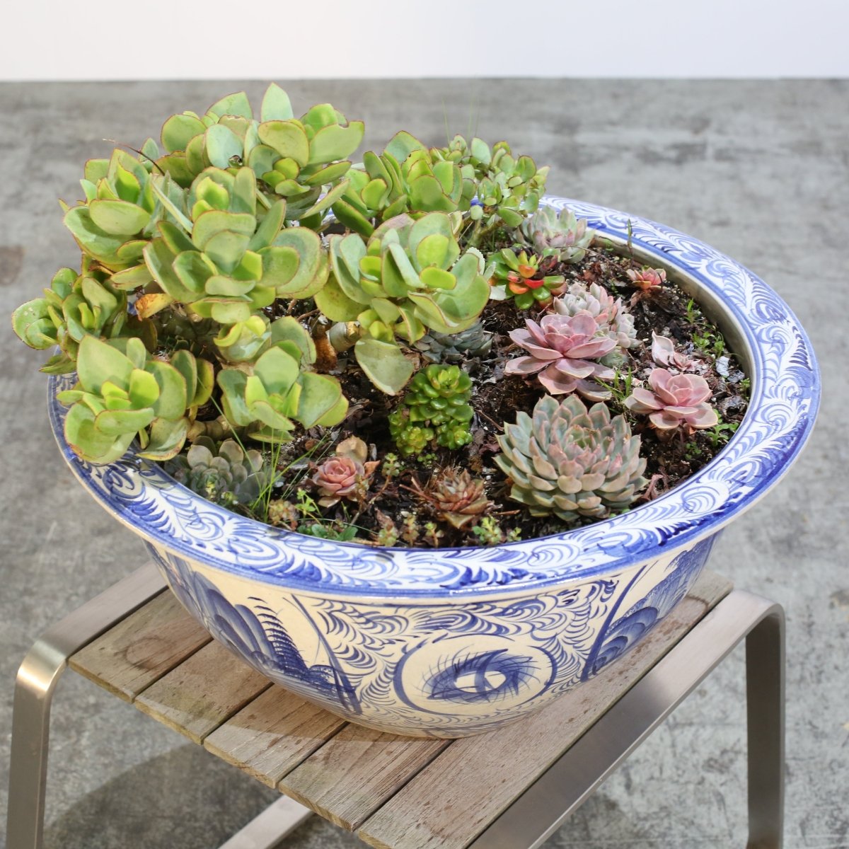 Ceramic Plant Bowls with Succulents, Set of Two @ REHAUS