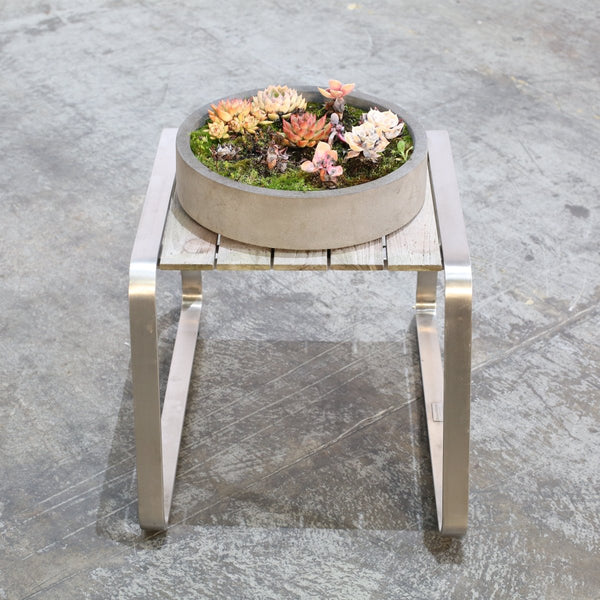 Ceramic Plant Bowls with Succulents, Set of Two @ REHAUS