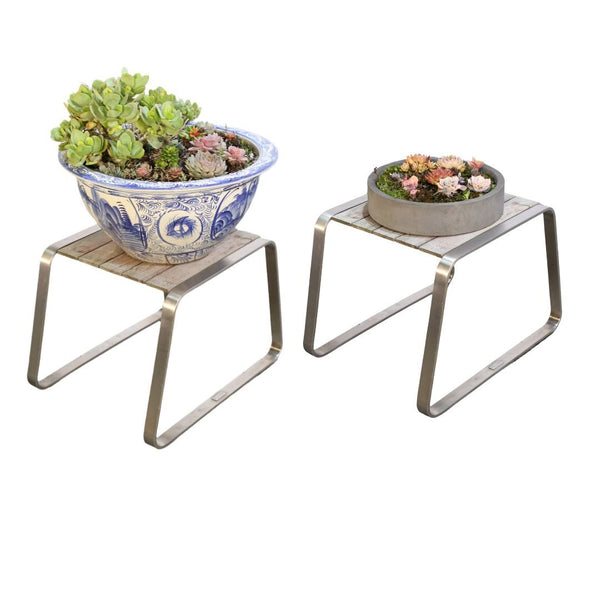 Ceramic Plant Bowls with Succulents, Set of Two @ REHAUS
