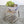 Ceramic Plant Bowls with Succulents, Set of Two @ REHAUS