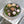 Ceramic Plant Bowls with Succulents, Set of Two @ REHAUS