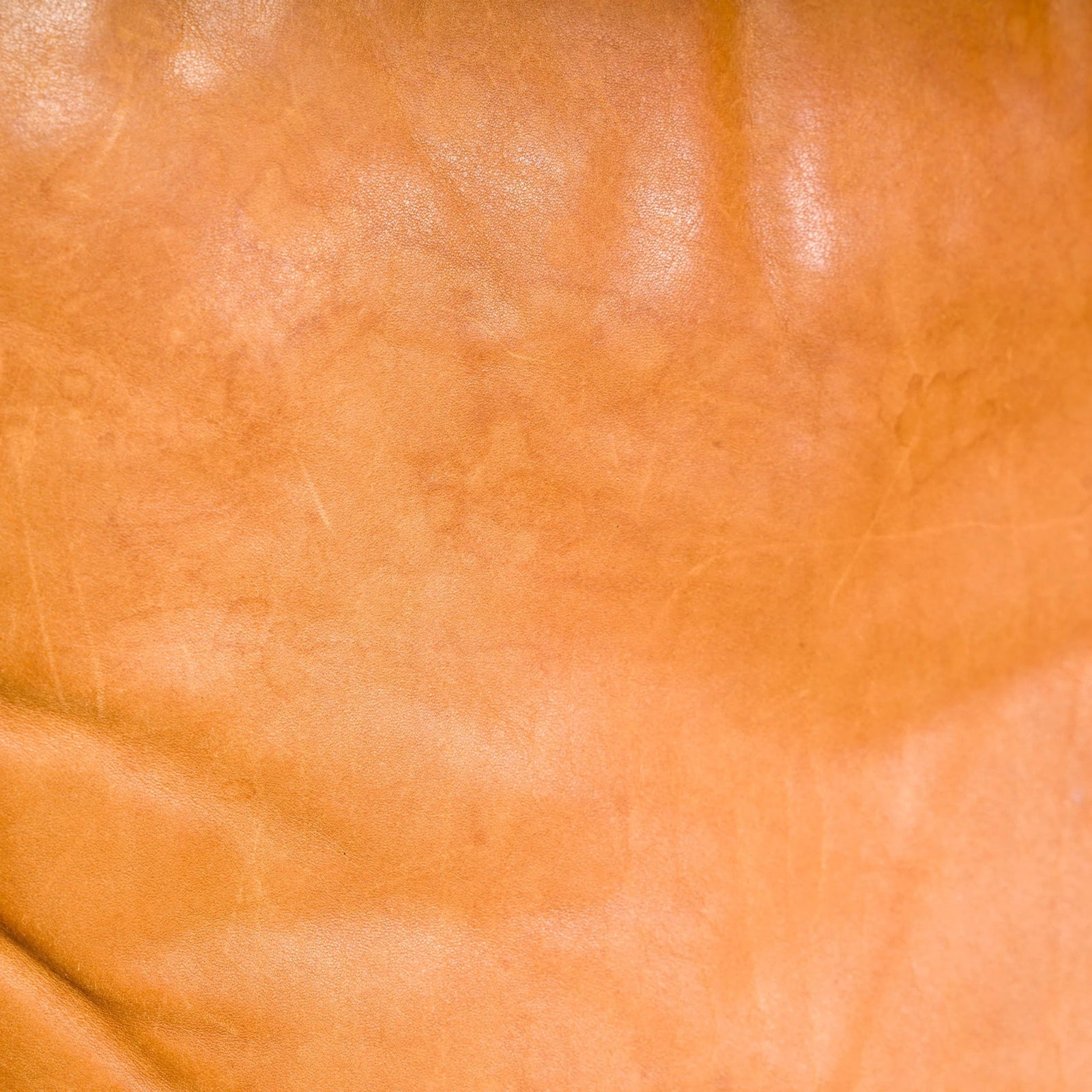 De Sede DS - 61 Cedar Brown Leather Sofa, 1972 - REHAUS - De Sede