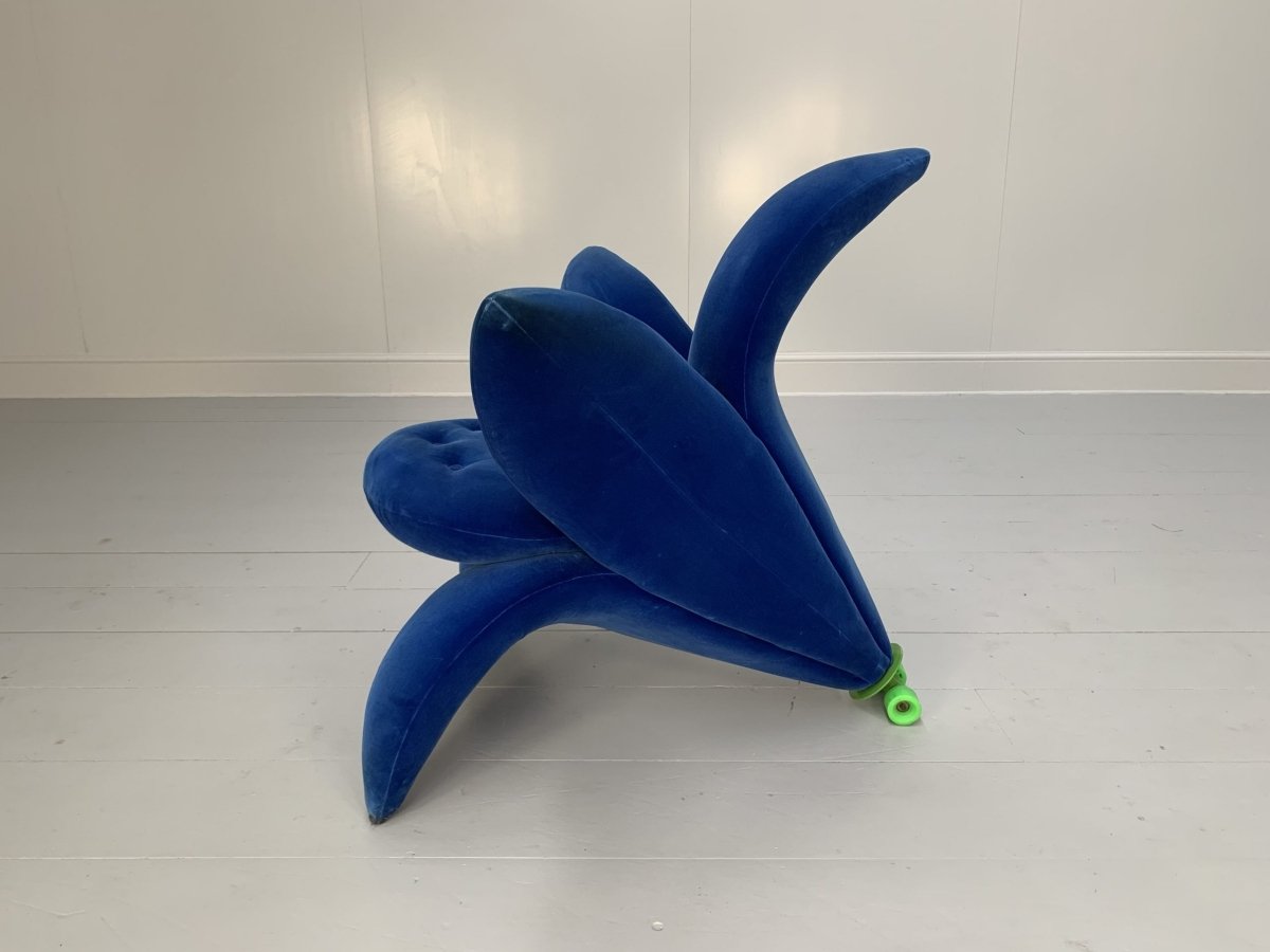 Edra Getsuen Lily Armchair - In Blue Velvet @ REHAUS