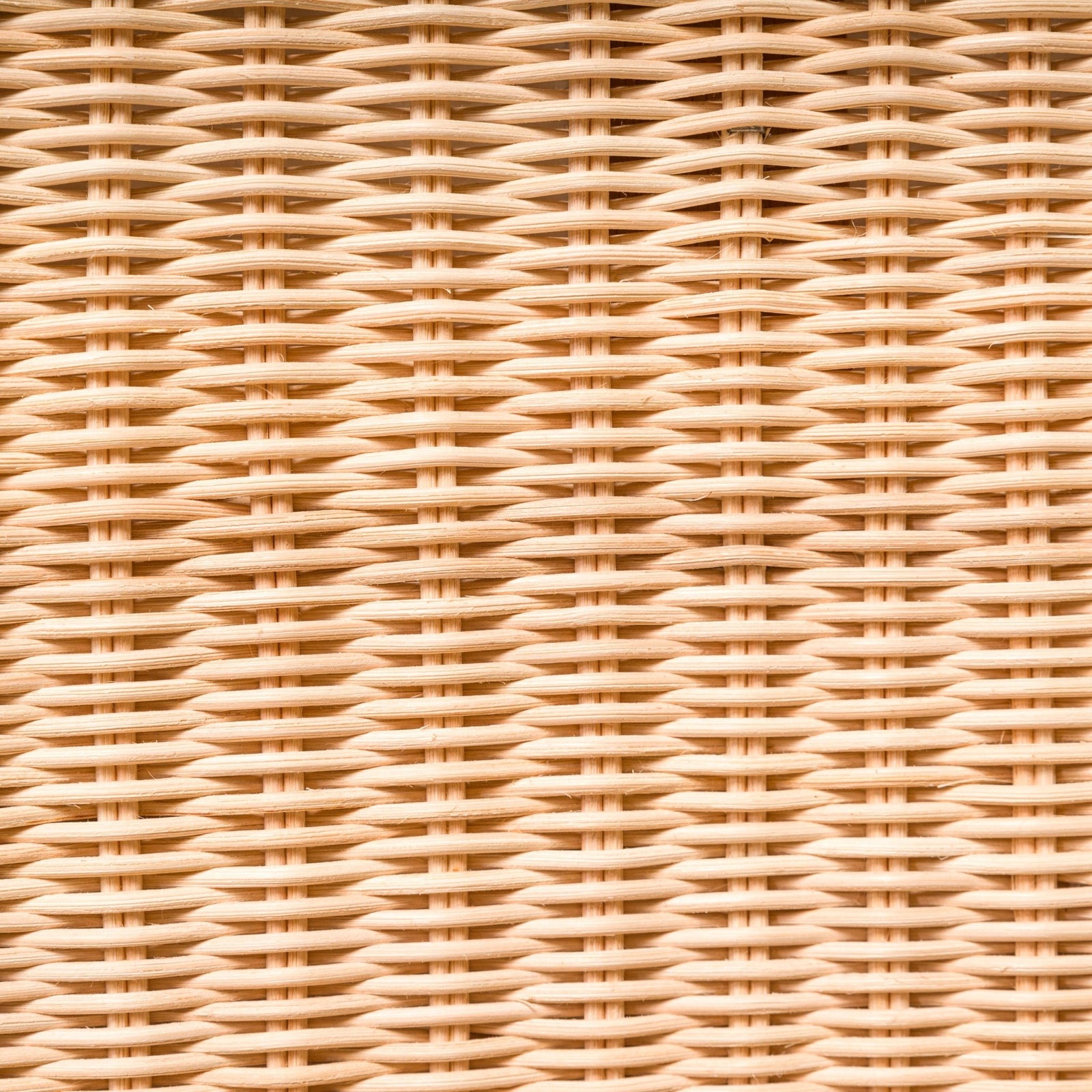 Gio Ponti for Molteni&C D.270.1 Ash and Wicker Folding Armchairs, Set of 2 - REHAUS - Gio Ponti