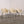 Hille Armchair by Robin Day @ REHAUS