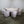 Indian Ocean Marina Outdoor Dining Set @ REHAUS