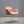 Koleksiyon Halia Shell Chair by Studio Kairos in Patterned Fabric - REHAUS - Koleksiyon