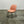 Muuto Salmon Oslo Side Chair by Anderssen and Voll @ REHAUS