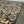 The Rug Company Patterned Rug by Diane Von Furstenberg