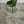Gubi Green Velvet Chair by GamFratesi