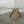 Porada Dining Table