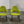 Vitra Organic Chair by Charles Eames & Eero Saarinen, Set of Two