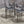 Kartell Masters Chair by Philippe Starck and Eugeni Quitllet