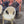 Magis Bell Chairs by Konstantin Grcic, Set of Eight