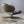 Roche Bobois Nuage 2 Armchair by Roberto Tapinassi & Maurizio Manzoni @ REHAUS