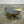 Small Gold Radius Coffee Table by Alex Mint @ REHAUS