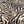 The Rug Company Zebra Rug by Diane Von Furstenberg @ REHAUS