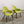 Vitra Organic Chair by Charles Eames & Eero Saarinen, Set of Two @ REHAUS