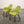 Vitra Organic Chair by Charles Eames & Eero Saarinen, Set of Two @ REHAUS