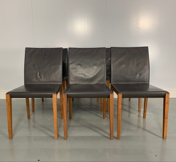 Walter Knoll Andoo 1100 Dining Chair - In Dark Brown Leather & Walnut,set of 6 @ REHAUS