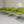 Walter Knoll Turtle Armchair - In Lime Green Fabric @ REHAUS