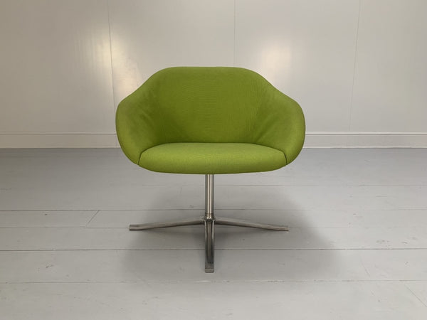 Walter Knoll Turtle Armchairs - In Lime Green Fabric, Set of Four @ REHAUS