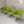 Walter Knoll Turtle Armchairs - In Lime Green Fabric, Set of Four @ REHAUS