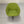 Walter Knoll Turtle Armchairs - In Lime Green Fabric, Set of Four @ REHAUS