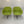 Walter Knoll Turtle Armchairs - In Lime Green Fabric, Set of Four @ REHAUS