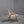 Walter Knoll Votteler Beige Armchair by Arno Votteler @ REHAUS